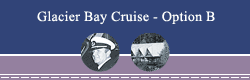 Glacier Bay Cruise - Option B